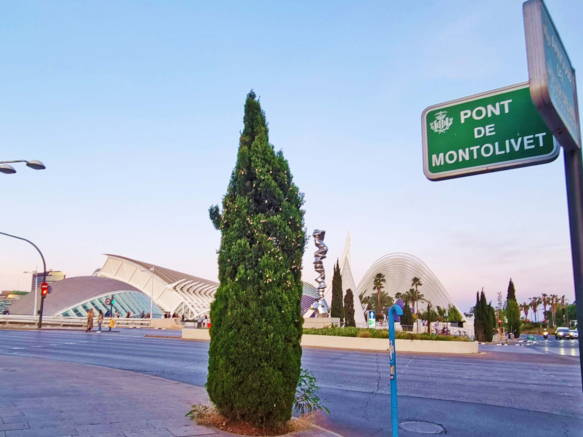 Pont de Monteolivete Valencia