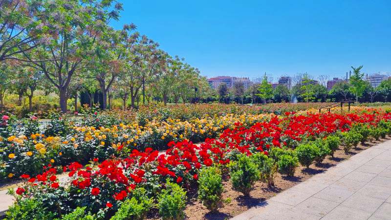 En Corts Valencia flowers