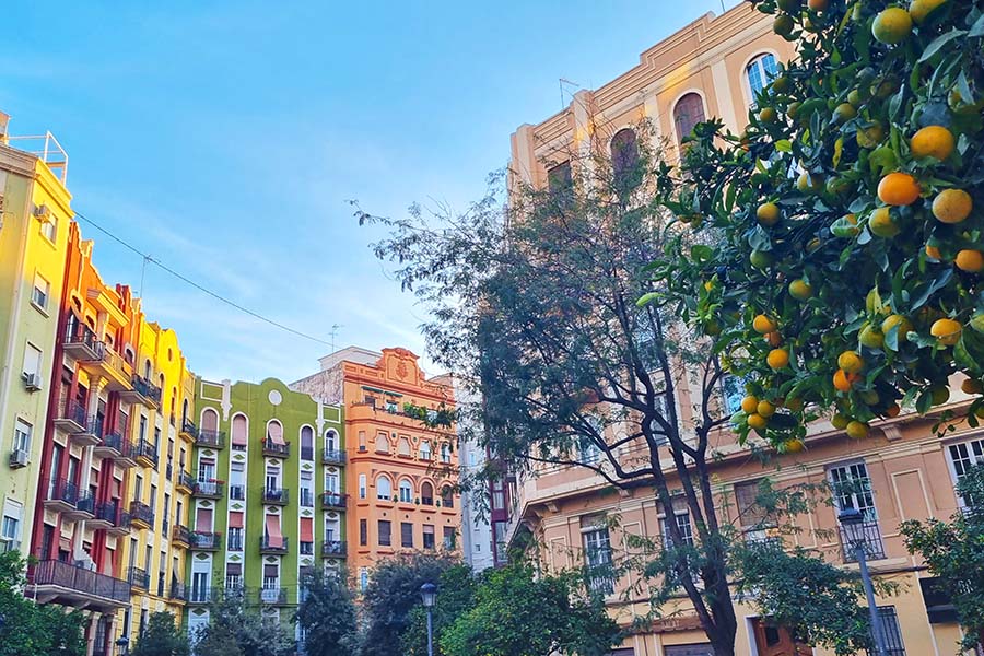 Valencia Arrancpains houses