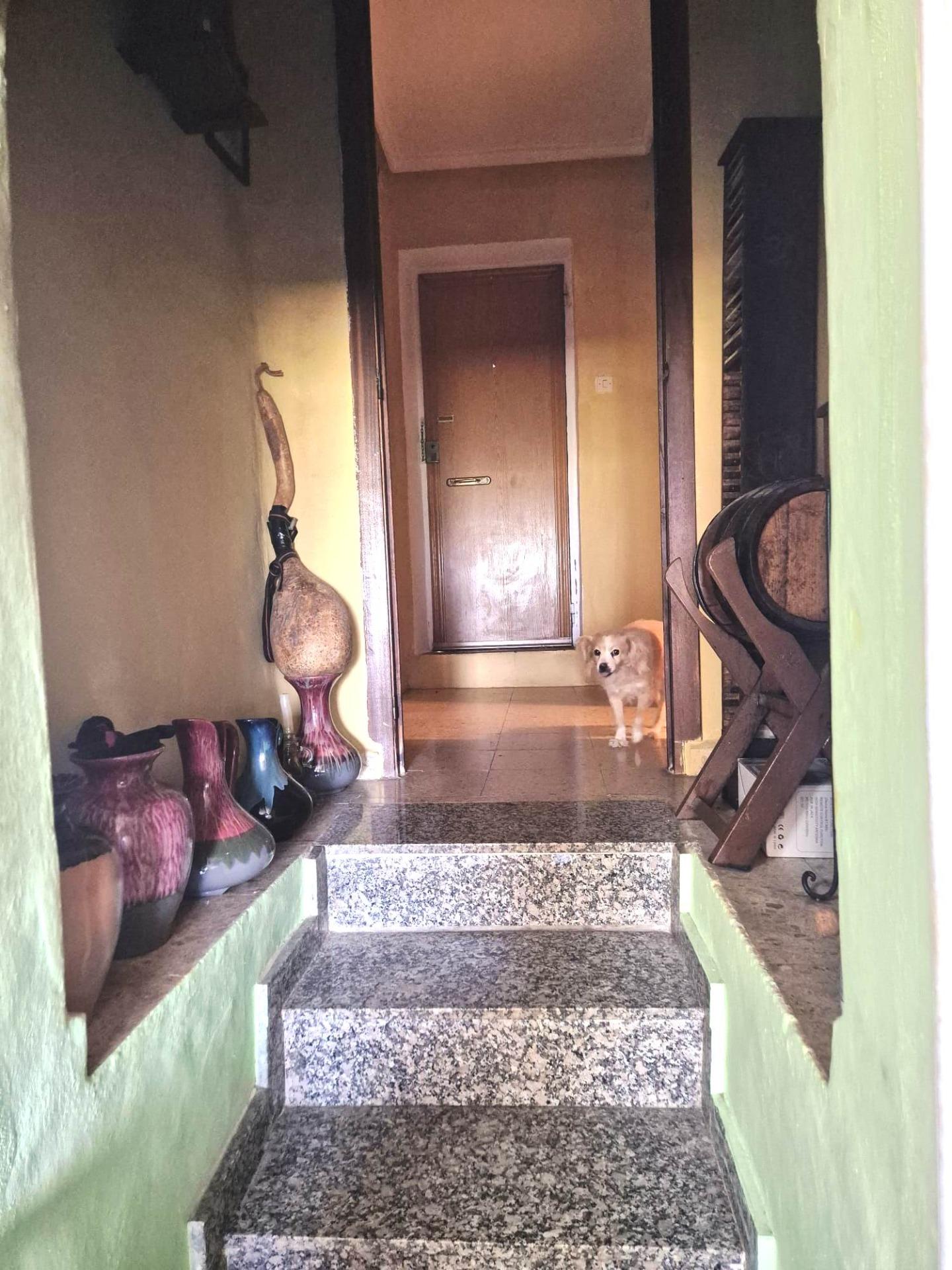Charming villa with swimming pool and generous plot in Lliria