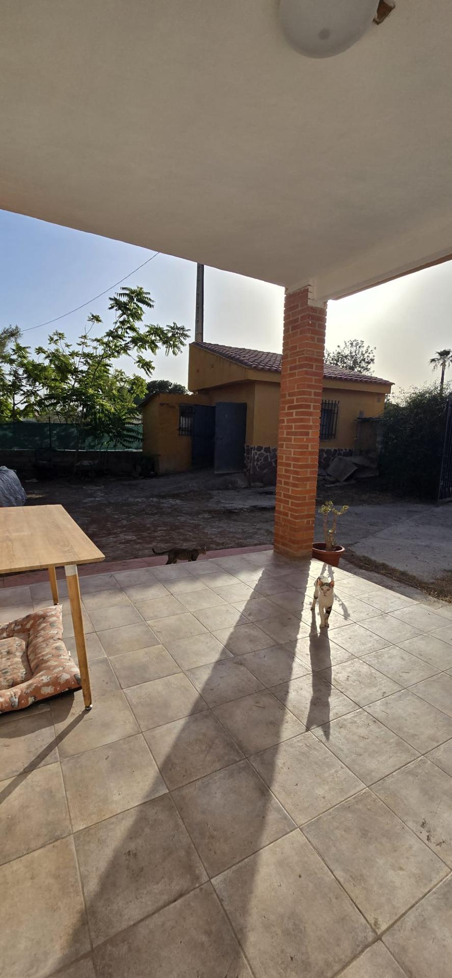 DP-60-05022-18 Villa for sale in Lliria
