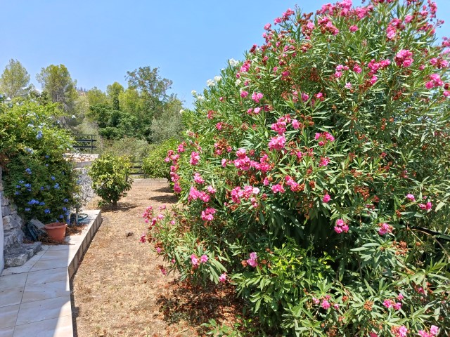 Villa for sale in Ador