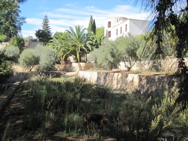 finca-for-sale-Gandia-1196clf-4 Finca for sale in Gandia